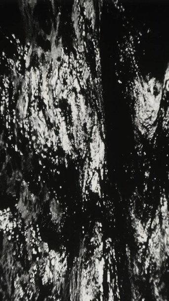 Bitemporal Vision: The Sea (1994) poster