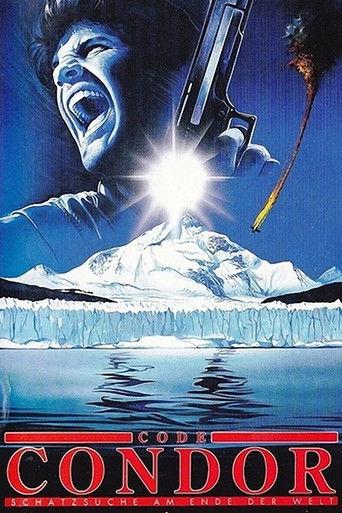 After the Condor (1991) poster