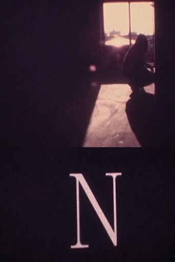 N (1996) poster