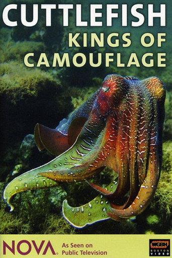 Cuttlefish: Kings of Camouflage (1997) poster