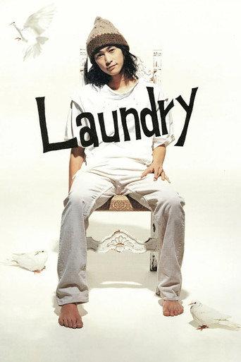 Laundry (2002) poster