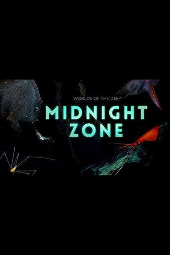 Into the Midnight Zone (2024) poster