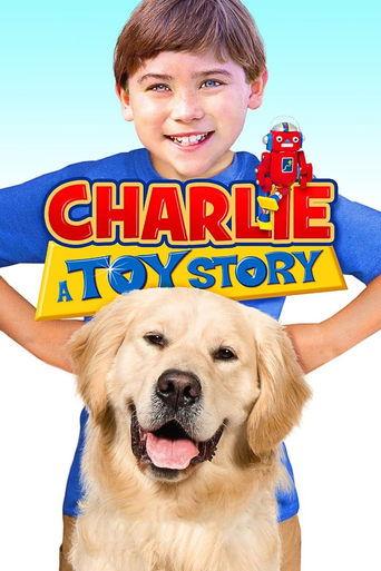 Charlie: A Toy Story (2013) poster