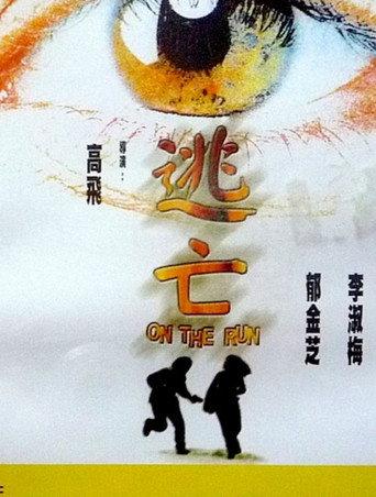 On the Run (1999) poster