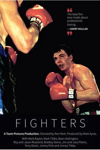 Fighters (1991) poster