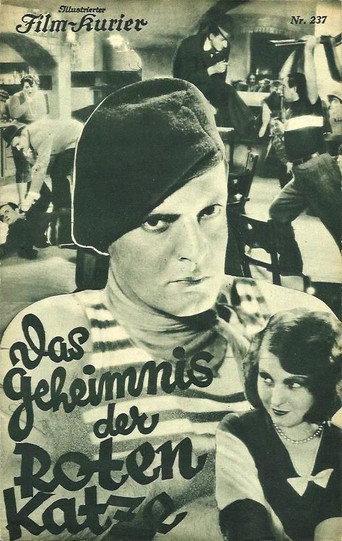 The Mystery of the Red Cat (1931) poster