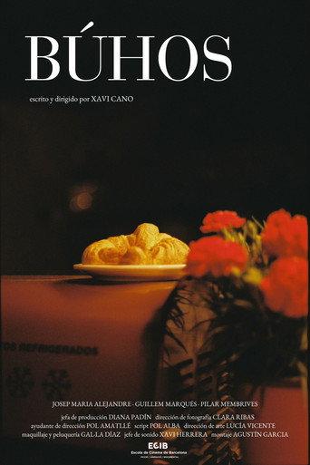 Búhos () poster