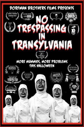 No Trespassing In Transylvania (2025) poster