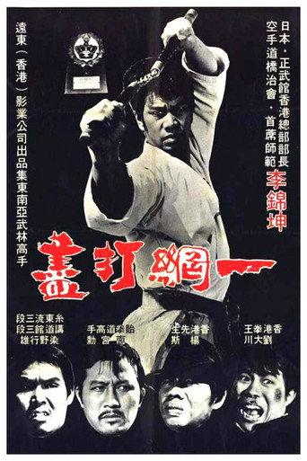 The Thunder Kick (1974) poster