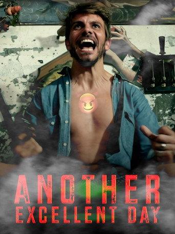 Another Excellent Day (2014) poster