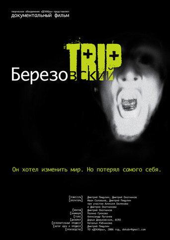 Berezovsky Trip (2007) poster