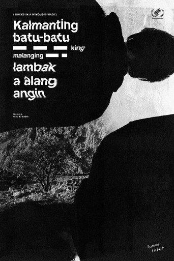 Rocks in a Windless Wadi (2022) poster