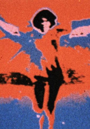 Fly (1974) poster