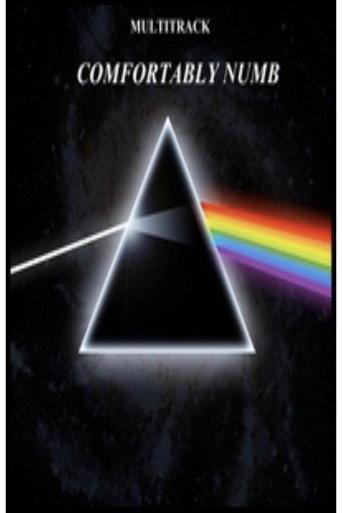 Pink Floyd - Comfortably Numb (2005) poster