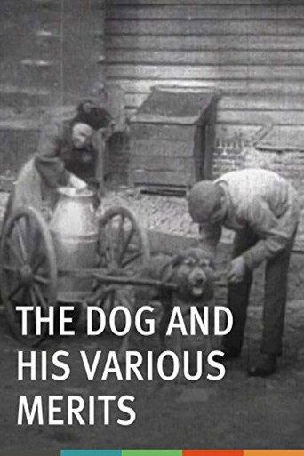 The Dog and His Various Merits (1907) poster
