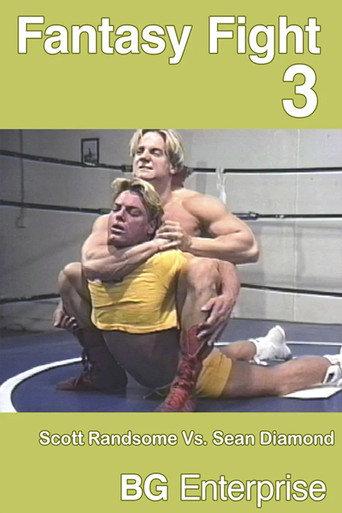 Fantasy Fight 3 (1995) poster