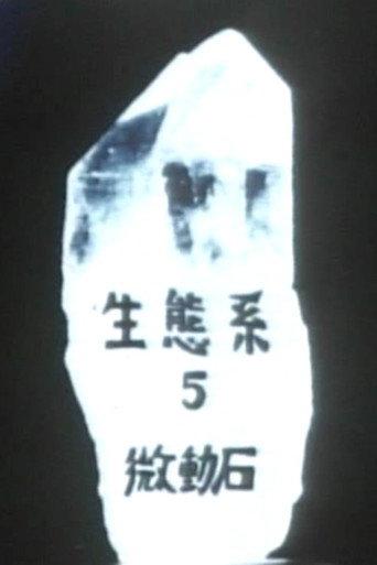 Ecosystem 5 ~ A Tremulous Stone (1988) poster