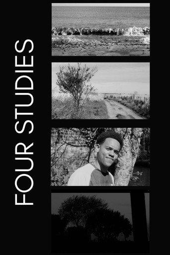 Four Studies () poster