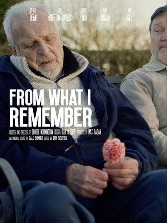 From What I Remember () poster
