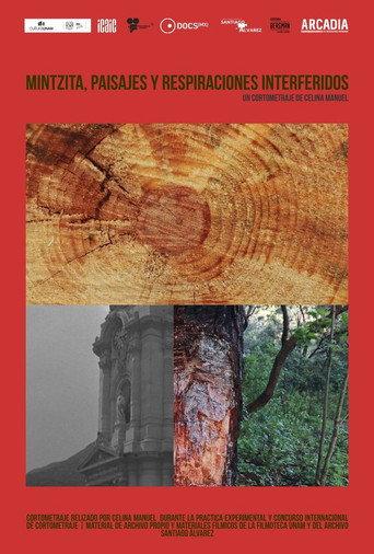 Mintsita, paisajes y respiraciones interferidos (2024) poster