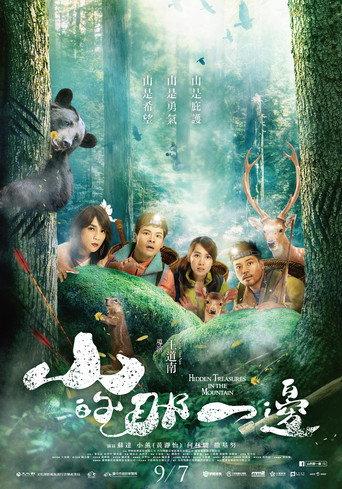 Hidden Treasures in the Mountain (2018) poster