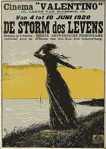 The Storm in Life (1920) poster