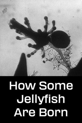 How Some Jellyfish Are Born (1960) poster