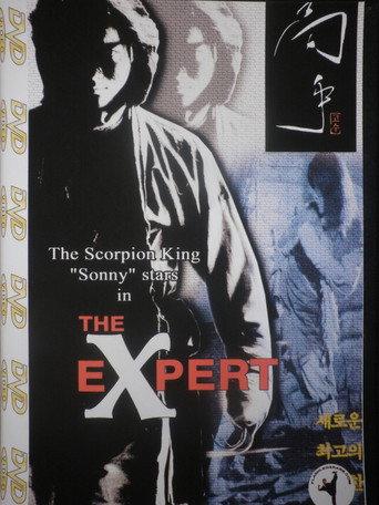 The Expert (1998) poster