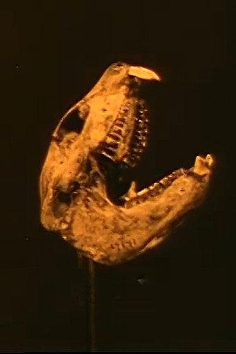 From the Womb of the Earth (1919) poster