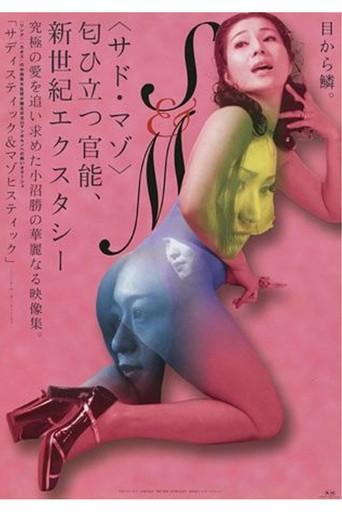 Sadistic and Masochistic (2001) poster