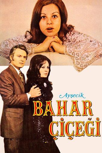 Ayşecik: Bahar Çiçeği (1971) poster