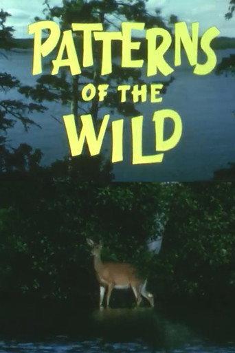 Patterns Of The Wild (1966) poster
