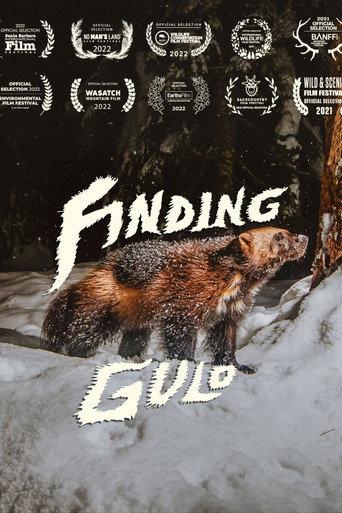 Finding Gulo (2022) poster