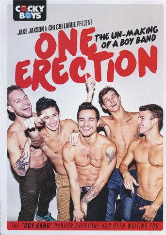 One Erection: The Un-Making of a Boy Band (2016) poster