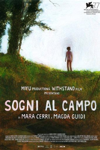 Dreams in the Field (2020) poster