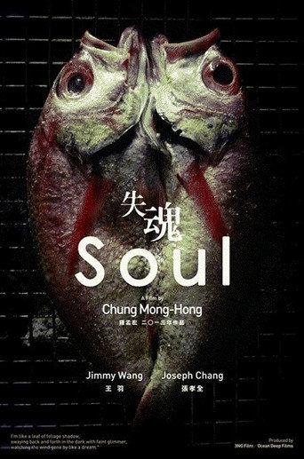 Soul (2013) poster
