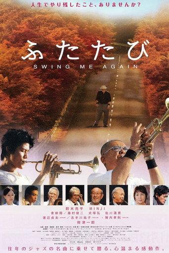 Swing me Again (2010) poster