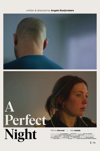 A Perfect Night (2025) poster
