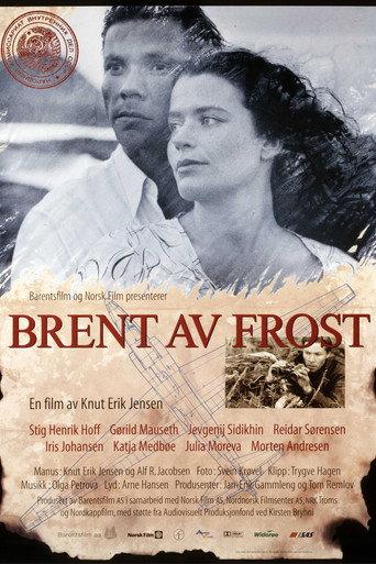 Burnt by Frost (1997) poster