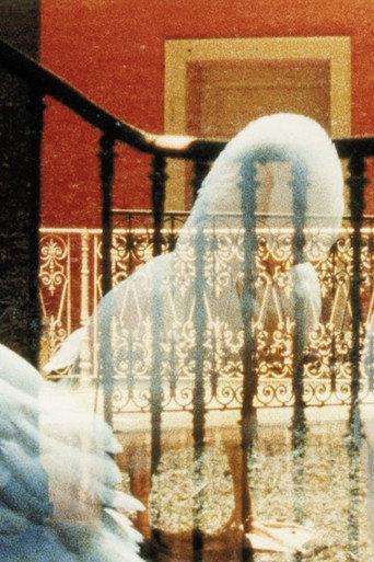 Portrait mariage (2000) poster