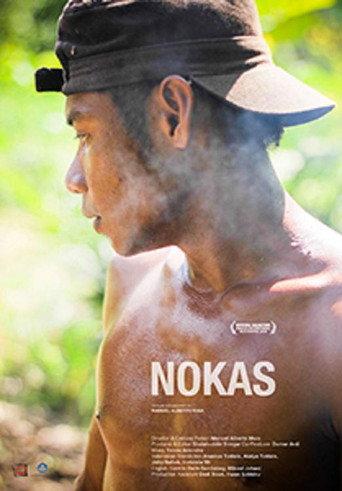 Nokas (2016) poster