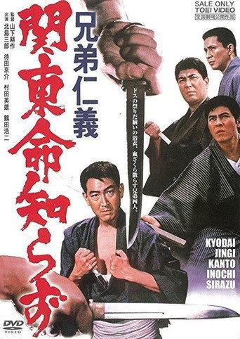 Code Between Brothers 5 (1967) poster