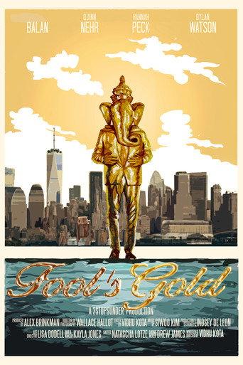 Fool's Gold () poster