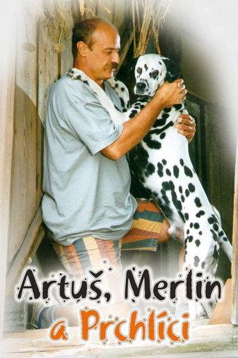 Artus, Merlin a Prchlici (1995) poster