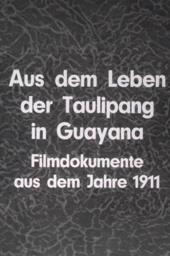 Aus dem Leben der Taulipang in Guayana (1911) poster
