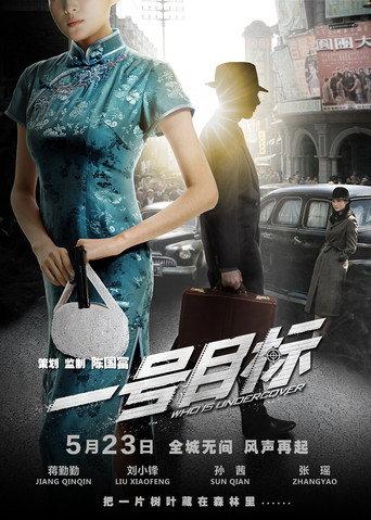 Who Is Undercover (2014) poster
