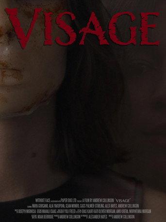 Visage (2026) poster