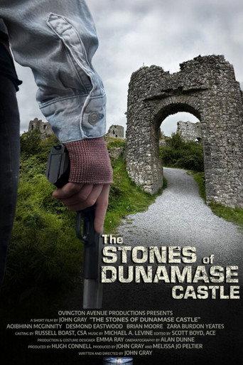 The Stones of Dunamase Castle (2025) poster