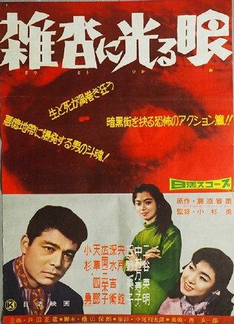 Zattō ni hikarume (1959) poster