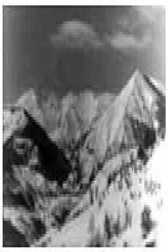 Along the Slopes of Shara Mountain (1954) poster